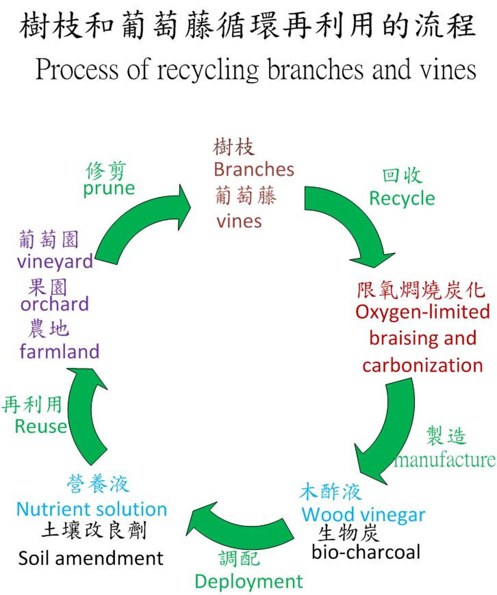 推動台灣的樹枝和葡萄藤炭化循環再利用